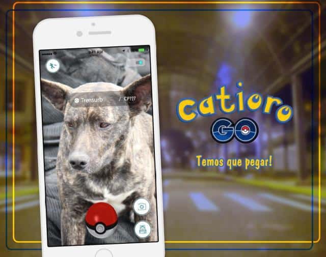 catioro go