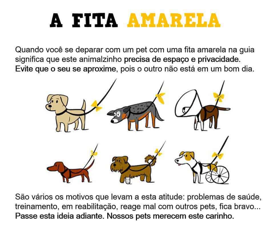 Campanha da Fita Amarela - imagem ilustrativa