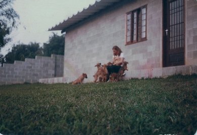 brisa-ninhada-brincando