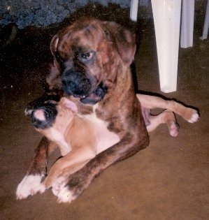 sol-agata