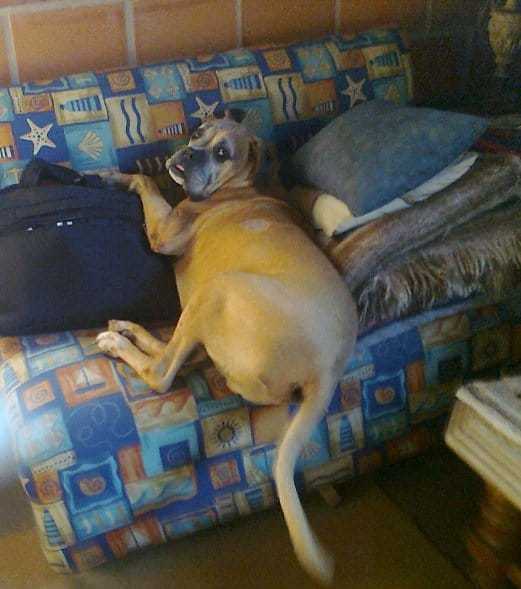 sol-ix-sofa