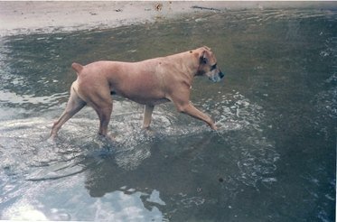 rio