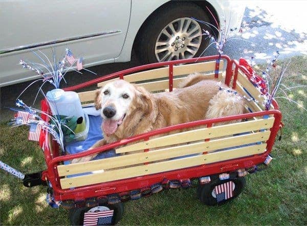 bentley-july4-wagon