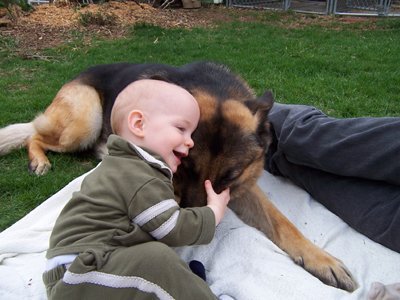 bebê abraçando cão