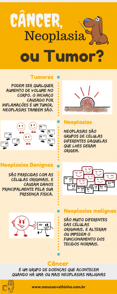 Infográfico Câncer
